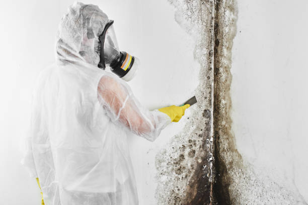 Best Crawl Space Mold Removal  in Lincoln Village, OH