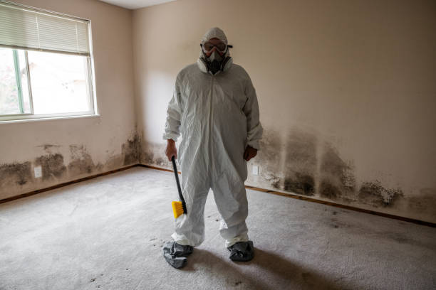 Best Attic Mold Removal  in Lincoln Village, OH